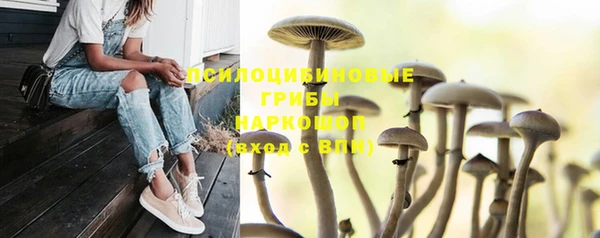 синтетический гашиш Беломорск