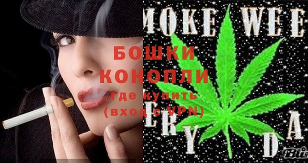 гашик Белокуриха