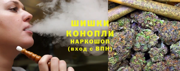 гашик Белокуриха