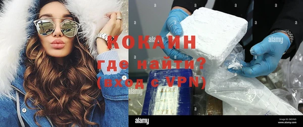 гашик Белокуриха