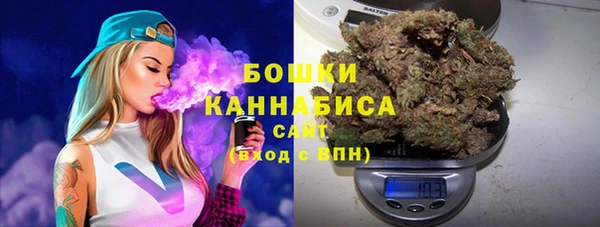 гашик Белокуриха