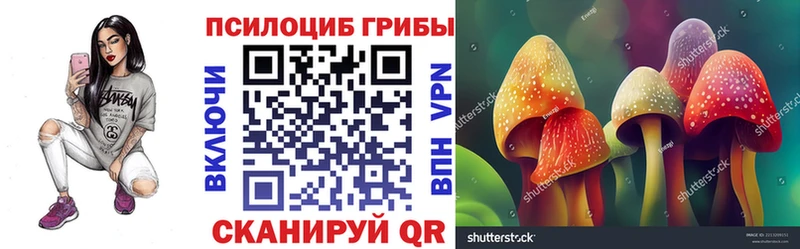 мориарти как зайти  Кудымкар  Галлюциногенные грибы мухоморы 